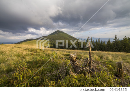 Panoramic summer view, green grassy valley on distant woody mountains background under cloudy sky. 93414855