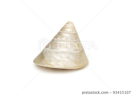 Image of pearl trochus seashells on a white background. Undersea Animals. Sea Shells. Image of pearl trochus seashells on a white background. Undersea Animals. Sea Shells. 93415107