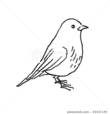 鉛筆手繪風格的小鳥線條畫 93415145