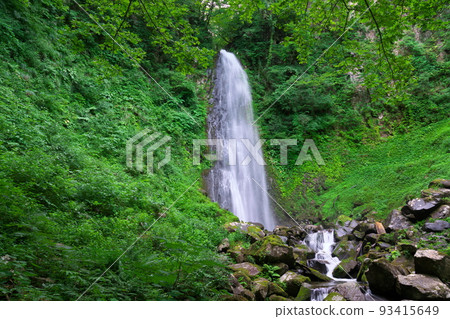 [Japan's Top 100 Waterfalls] Dark Green Amedaki 3 Kokufucho, Tottori City, Tottori Prefecture 93415649
