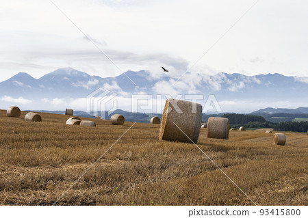 roll field hill roll field hill 93415800