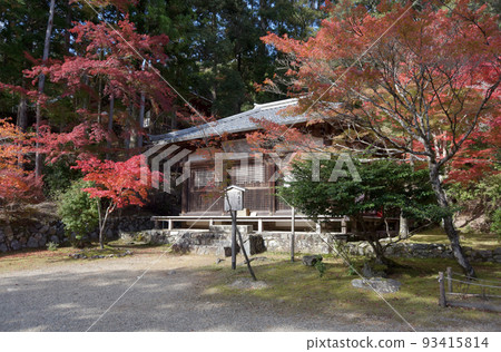Jingo-ji Temple in Autumn, Myoo-do Temple, Takao, Ukyo Ward, Kyoto City 93415814