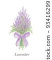 Lavender bouquet bouquet hand-drawn illustration 93416299