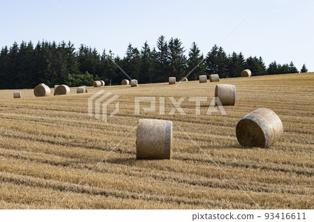 roll field hill 93416611