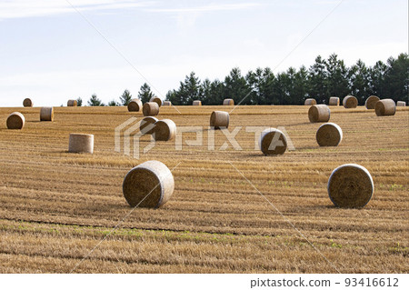 roll field hill 93416612