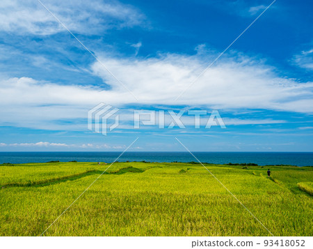 Xinshe Rice Terraces in Fengbin Township, Hualien, Taiwan 93418052