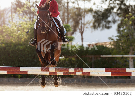 Sport horse jumping over a barrier on a obstacle course, rider in uniform performing jump at show jumping competition Sport horse jumping over a barrier on a obstacle course, rider in uniform performing jump at show jumping competition 93420102