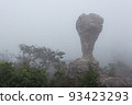 The strange stone ( Look like a trophy cup ) with mist in the morning at Pa Hin Ngam national park . Chaiyaphum , Thailand . 93423293