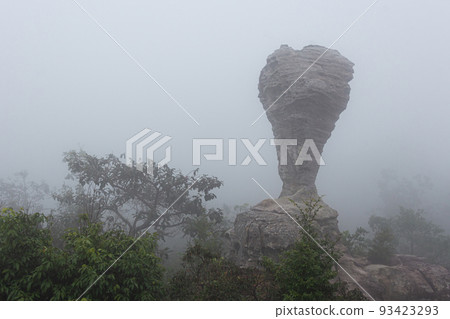 The strange stone ( Look like a trophy cup ) with mist in the morning at Pa Hin Ngam national park . Chaiyaphum , Thailand . 93423293