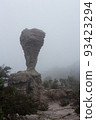 The strange stone ( Look like a trophy cup ) with mist in the morning at Pa Hin Ngam national park . Chaiyaphum , Thailand . 93423294