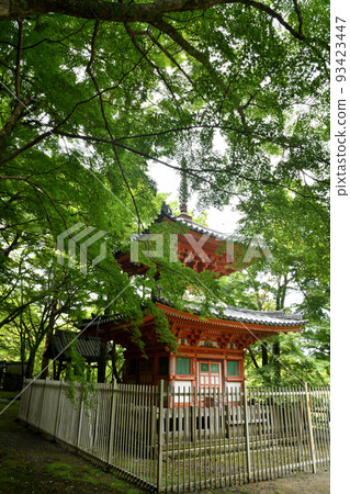 牛瀧山大德寺（Tahoto）[大阪府岸和田市] 93423447