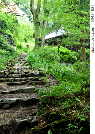 Sefukuji Temple (the site of Kobo Daishi's shaving place) [Makioyama-cho, Izumi City, Osaka Prefecture] 93424626