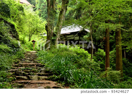 Sefukuji Temple (the site of Kobo Daishi's shaving place) [Makioyama-cho, Izumi City, Osaka Prefecture] 93424627