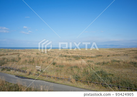 Scenery of Ishikari Sand Dunes Scenery of Ishikari Sand Dunes 93424905