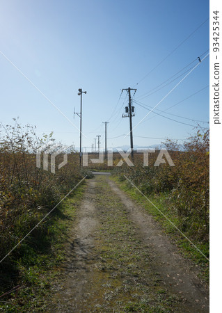 石狩沙丘的風景 93425344