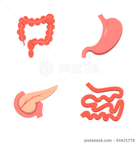 Digestive system icon set in flat style Digestive system icon set in flat style 93425778