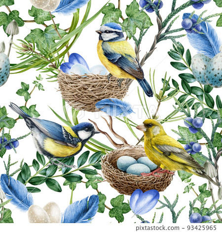 Forest birds on the branches seamless pattern. Watercolor illustration. Realistic chickadees forest birds, nest, feathers, tree branches seamless pattern. Natural wildlife element. White background Forest birds on the branches seamless pattern. Watercolor illustration. Realistic chickadees forest birds, nest, feathers, tree branches seamless pattern. Natural wildlife element. White background 93425965