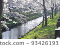 Cherry blossoms and streams 93426193