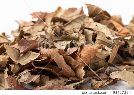 [沖繩縣]番石榴茶茶葉 93427234
