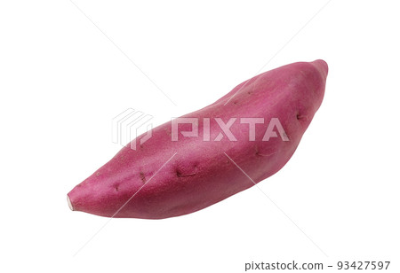 紅薯紅薯插畫真實 93427597