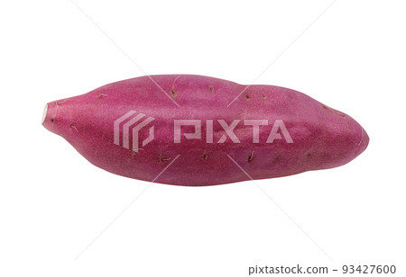 sweet potato sweet potato illustration real 93427600