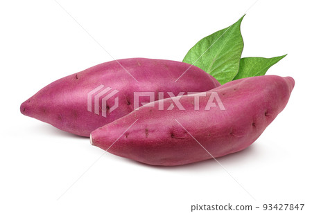 Sweet potato sweet potato illustration real set Sweet potato sweet potato illustration real set 93427847