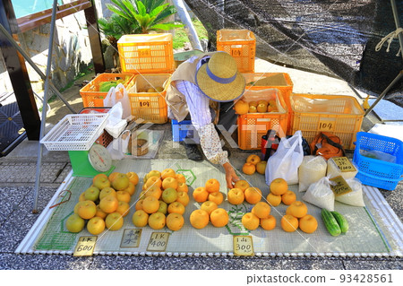 千葉縣勝浦市早市街頭墊子上賣梨的人 93428561