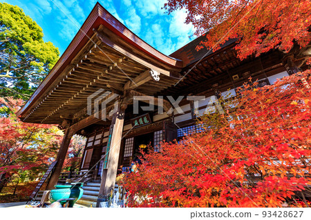 東京世田谷區 九本佛淨心寺淨心寺的秋葉 93428627