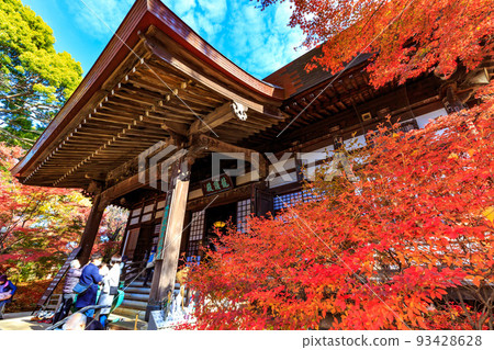 Setagaya-ku, Tokyo Autumn leaves at Kuhonbutsu Joshinji Temple Joshinji Temple 93428628