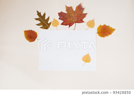 Autumn frame of dry yellow tree leaves on a white background. Flat lay. Copy space. Autumn frame of dry yellow tree leaves on a white background. Flat lay. Copy space. 93428850