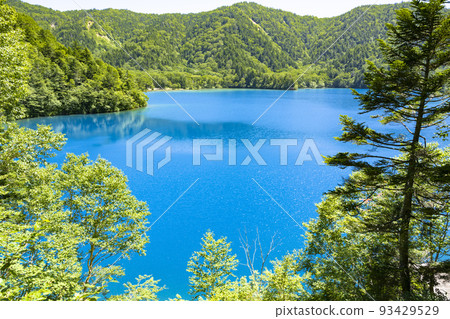 志賀高原大沼池 美麗的鈷藍色池塘 93429529