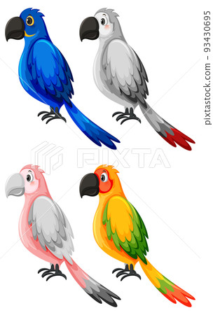 Set of different parrot birds in cartoon style Set of different parrot birds in cartoon style 93430695
