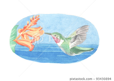 Watercolor: Bird 2 93430894