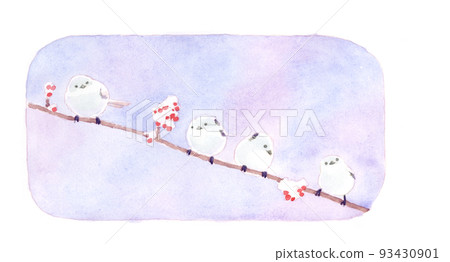 Watercolor painting: long-tailed long-tailed 2 93430901