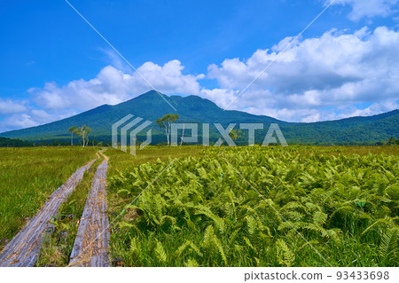 See ferns and Mt. Hiuchigatake from Ozegahara in Shimodashiro, Oze (Hinoemata Village, Fukushima Prefecture) 93433698