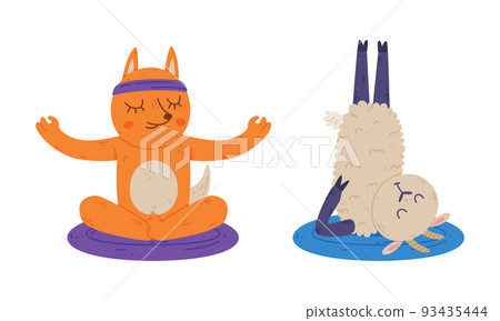 Cute animals doing yoga. Fox and sheep performing various asanas set cartoon vector illustration 93435444