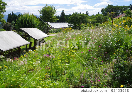 敖南町古木之森公園的景色 敖南町古木之森公園的景色 93435958