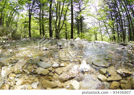mountain forest river 93436807