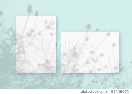 Natural light casts shadows from wildflowers of Horizontal and vertical sheets of white textured paper against a blue wall background. Mock up with an overlay of plant shadows Natural light casts shadows from wildflowers of Horizontal and vertical sheets of white textured paper against a blue wall background. Mock up with an overlay of plant shadows 93436975