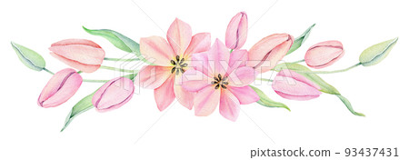 Watercolor pink tulip. Spring flowers isolated on white background. Floral Bouquet, Wreath, Frame. Decorative design elements. 93437431