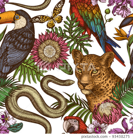 Tropical animals seamless pattern background design. Engraved style. Hand drawn leopard, snake, toucan, scarlet macaw, african giant swallowtail, monstera, strelitzia, tropical palm leaves, orchid Tropical animals seamless pattern background design. Engraved style. Hand drawn leopard, snake, toucan, scarlet macaw, african giant swallowtail, monstera, strelitzia, tropical palm leaves, orchid 93438275