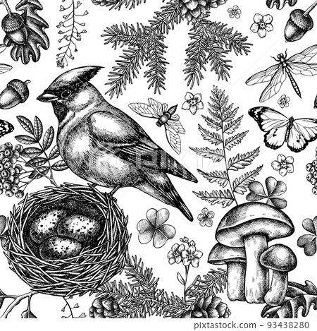 Mysterious forest seamless pattern background design. Engraved style. Hand drawn waxwing, nest, spruce branch, pine cones, insect, aspen mushroom, oak, rowan, forget me not flower, plain tiger, clover Mysterious forest seamless pattern background design. Engraved style. Hand drawn waxwing, nest, spruce branch, pine cones, insect, aspen mushroom, oak, rowan, forget me not flower, plain tiger, clover 93438280