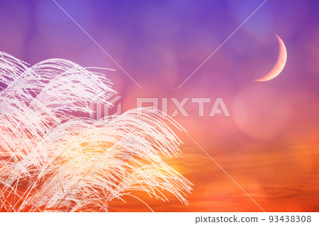 The silhouette of pampas grass shining at dusk and the scenery of the autumn sky where the crescent moon rises The silhouette of pampas grass shining at dusk and the scenery of the autumn sky where the crescent moon rises 93438308