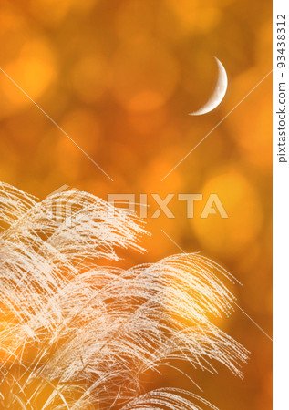 The orange sunlight filtering through the trees at dusk, the crescent moon, and the silhouette of the pampas grass shining white The orange sunlight filtering through the trees at dusk, the crescent moon, and the silhouette of the pampas grass shining white 93438312