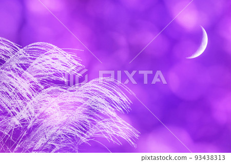 陽光透過紫色暮色中的樹木，新月，還有泛著白光的蒲葦剪影 93438313