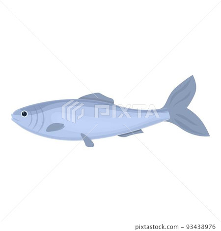 Sea sardine icon cartoon vector. Herring fish. Seafood store 93438976