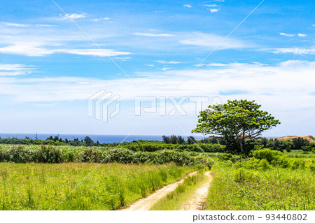 Prairie and road Prairie and road 93440802