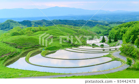 Exquisite harmony with the beautiful grassland scenery of nature The background of "Ogi Terraced Rice Fields" is Mt. 93442478