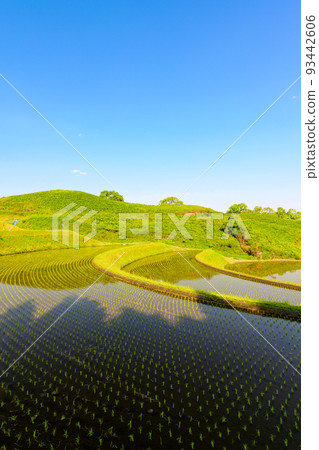 Exquisite harmony with the beautiful grassland landscape of nature 93442606