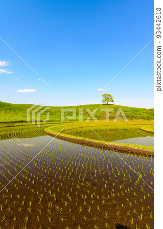 與大自然美麗的草原風光“小木田田”的絕妙和諧 阿蘇郡產山村（小木田田） 93442618
